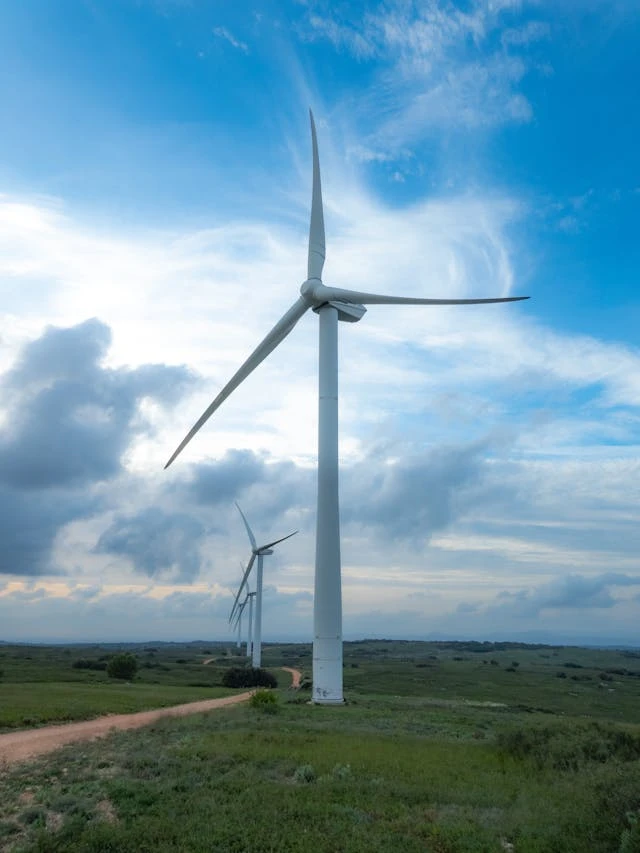 Wind Energy Consultancy